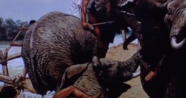 Documentary Hannibal versus Rome